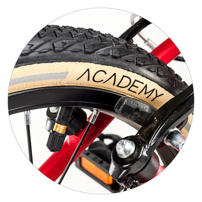 Academy boys deals bikes